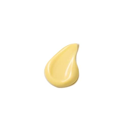 Dr. Hauschka Quince Day Cream, Refreshes and Protects, 1.0 fl oz
