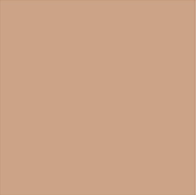 Dr. Hauschka Translucent Bronzing Tint, 0.6 Fl Oz