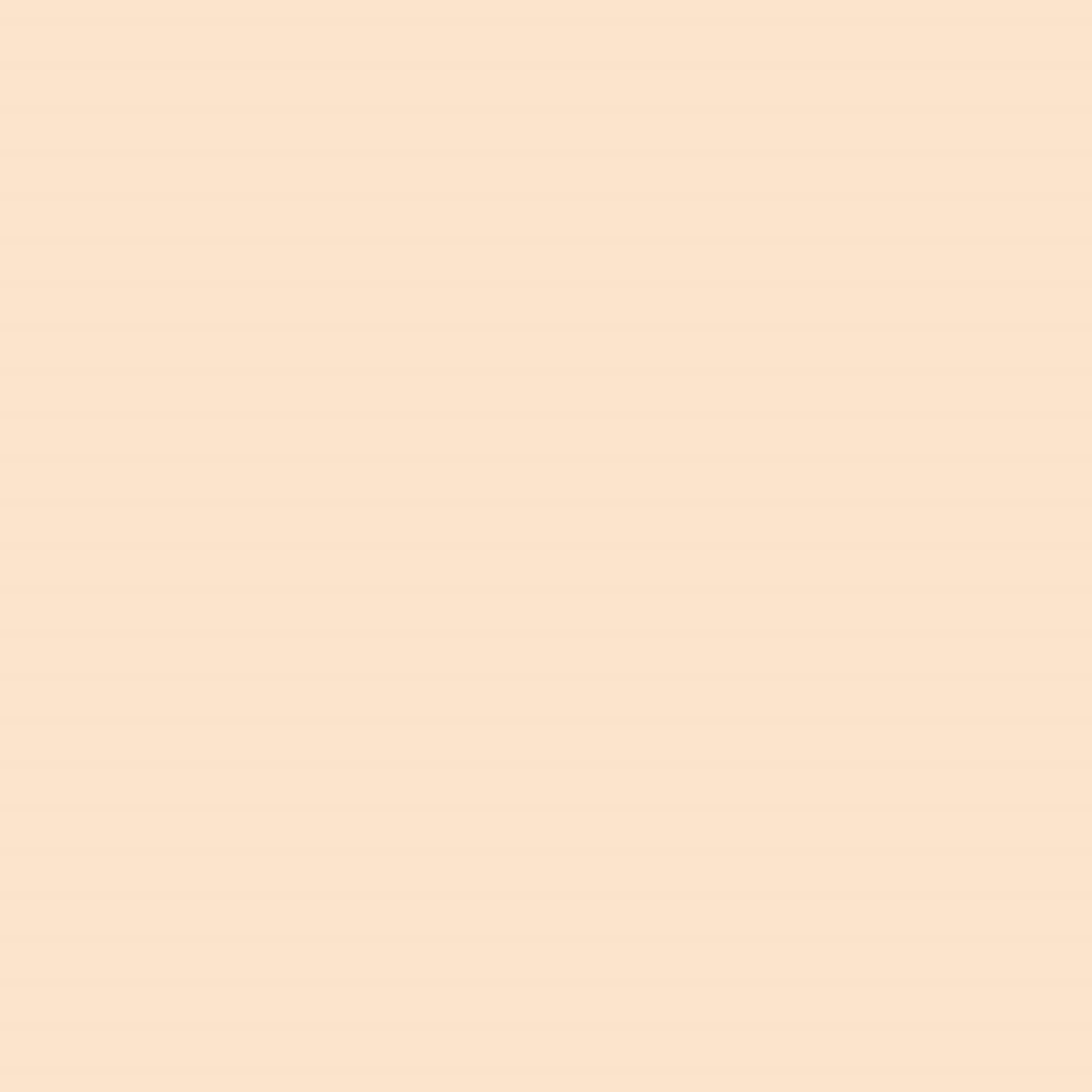Studio Fix 24-Hour Smooth Wear Concealer by M.A.C NC10 7ml