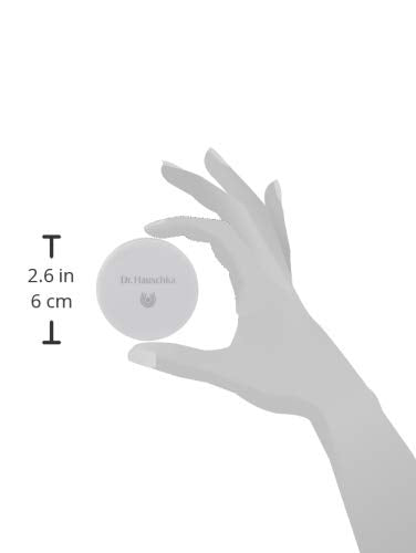 Dr. Hauschka Clarifying Clay Mask, 3.1 oz