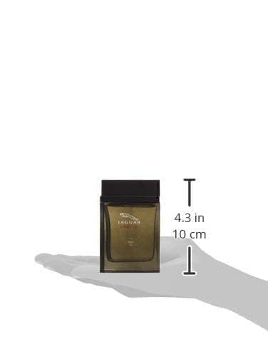 Jaguar Vision Iii By Jaguar