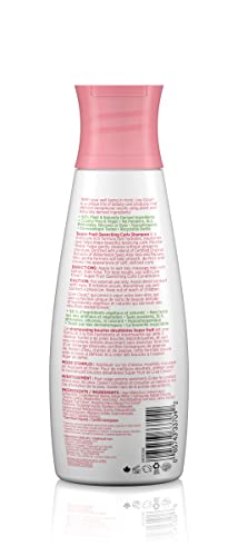 Live Clean Shampoo, Super Fruit Waters Quenching Curls, 12 Oz