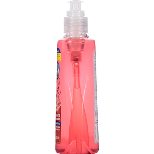 Dial Pomegranate & Tangerine Antibacterial Hand Soap with Moisturizer 7.5 Oz. (Pack of 4)
