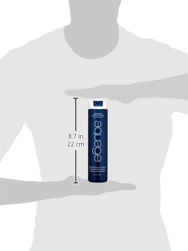 Aquage Seaextend Strengthening Shampoo, 10 Oz, Luxurious Shampoo Prevents Haircolor Fade And Thermal Styling Damage, Uva/Uvb Sun