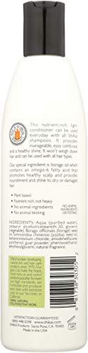 Shikai Everyday Hydrating Conditioner (Unscented, 12Oz) | With Borage & Jojoba Oil | Promotes Healthy Scalp | Nourish & Shine |
