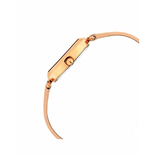 Titan Watches For Women (T2606Wl02), Pink, Strap