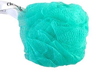 Clean Logic Cleanlogic Mesh Bath Sponge Assorted, 1 Ea, 1Count