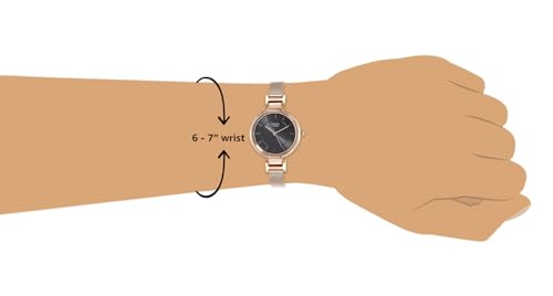 Titan Raga Viva Analog Grey Dial WomenS Watch Nm2608Wm02/Nn2608Wm02/Np2608Wm02