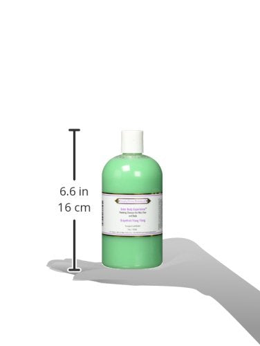 Simply Divine Botanicals Outer Body Experience Natural Foaming Cleanser for Body, Face and Hair, 16 oz (Grapefruit-Ylang Ylang)