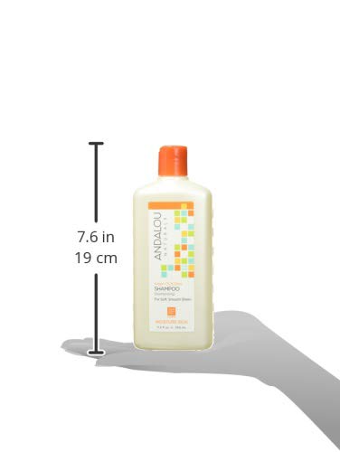 Andalou Argan Oil & Shea Butter Moisture Rich Shampoo