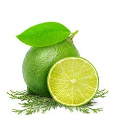 Fruits & Passion [Cucina Lime Zest & Fennel Hand Soap, (16.9 fl oz) - Luxury Kitchen Liquid Hand Soap, Vegan, Natural Moisturizi