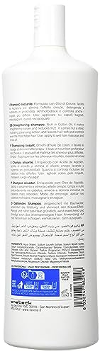 Fanola Smooth Care Straightening Hair Shampoo - Salon Quality Anti Frizz Hair Care - Gentle Shampoo For Frizzy Hair Formulated W