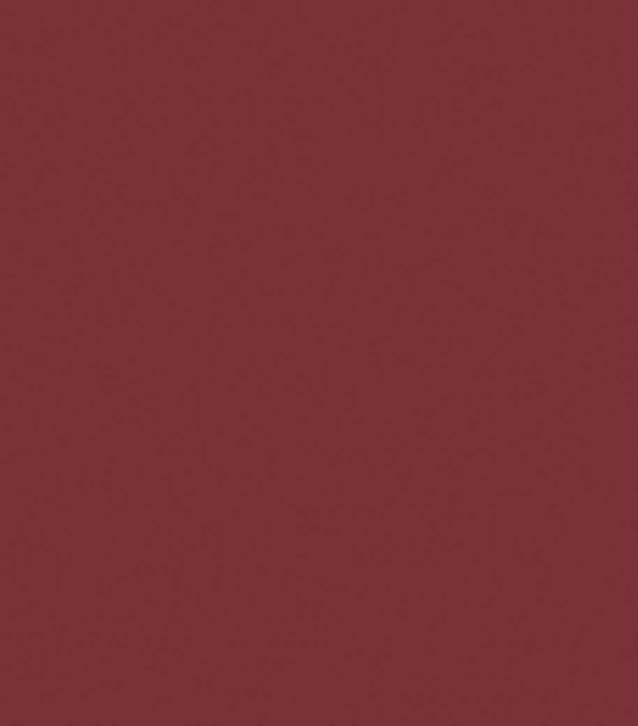 Color Statement Matte Lipstick 82 Matte Drama