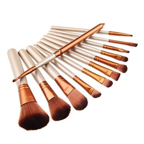 Datnasayad Soft Nylon Bristle Makeup Brushes Set Of 12 With Aluminium Storage Box  (Pack Of 1)