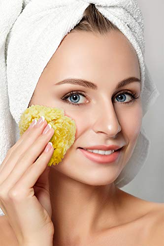 Premium Natural Sea Wool Sponges - 2 Soft Real Sponges 6''-7'' (Large) & 3''- 4'' (Medium); Perfect Luxury Gift For Bath, Shower