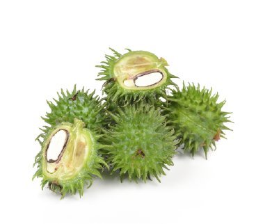 Castor Wax - Hydrogenated Castor Oil - Great Thickening Agent For Lotions And Creams, Lip Balms, Body Creams, Hair Care Products