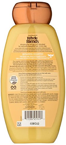 Garnier Whole Blends Repairing Shampoo Honey Treasures, 4 Count