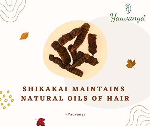 Yauvanya Shikakai (Acacia Concinna) Powder, Natural hair conditioner and nourisher - 100 gms
