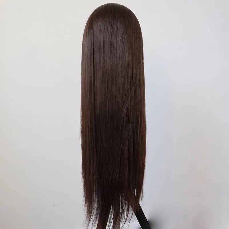 Wxhwcx Long Brown Synthetic Lace Front Wig Realistic Looking Long Straight Free Part Lace Front Wig For Womens Daily Wigs 24Inch