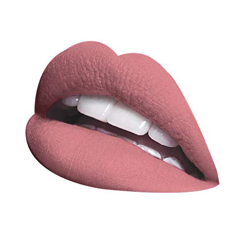 La Splash Cosmetics Waterproof All Day Wear Liquid Matte Pink Lipstick Classic Hollywood Horror Collection [2017 Limited Edition