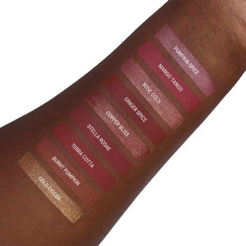 Aromi Rosy Chestnut Matte Liquid Lipstick | Warm, Earthy Rose Lip Color, Vegan, Cruelty-Free, Smudge Proof + Long-Lasting Lipsti