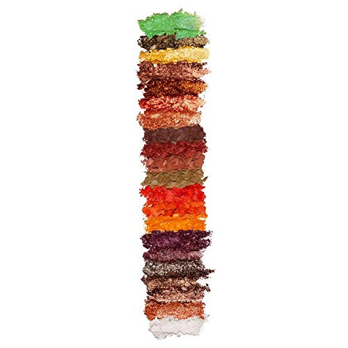 Nicka K 21 Color Eyehadow Palette - Spiced Up, Multicolor, 21.5 g