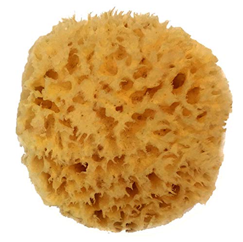 Natural Sea Wool Sponge 4-5'' By Spa Destinations  Amazing Natural Renewable Resource Creating The In Perfect Bath And Shower Ex