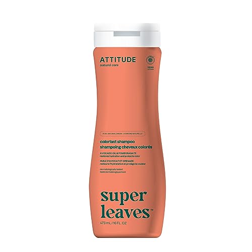 Attitude - Shampoo Color Protection - 1 Each 1-16 Oz(D0102H54Sp8)