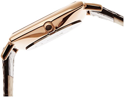 Titan MenS Classique Watch