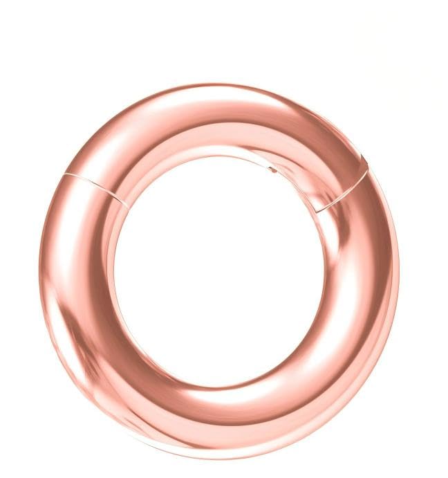 NewkeepsR 6G  10mm Rose Gold Steel Clicker Septum Ring, Large Gauge Nose Septum Hinged Eearring Seamless Hoop Jewelry