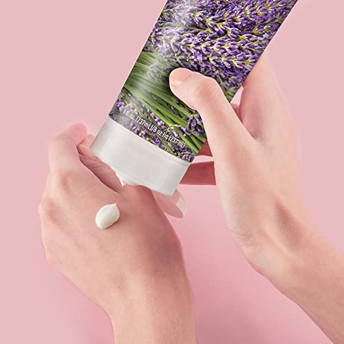 Bulgarian Lavender Hand And Body Lotion - 8 Fl Oz