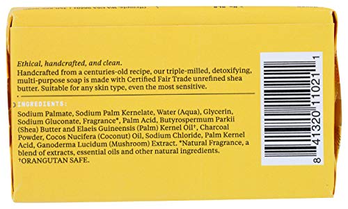 Alaffia Charcoal Reishi Authentic African Black Soap, 5 OZ