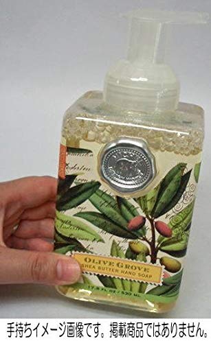Michel Design Works Scented Foaming Hand Soap, Deck the Halls
