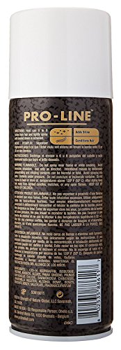 Pro-Line Oil Sheen 10 Ounce (295Ml) (2 Pack)