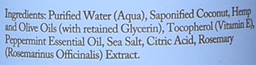 Dr. Woods Organic Castile Soap Peppermint, 32 Fluid Ounce - 4 Pack