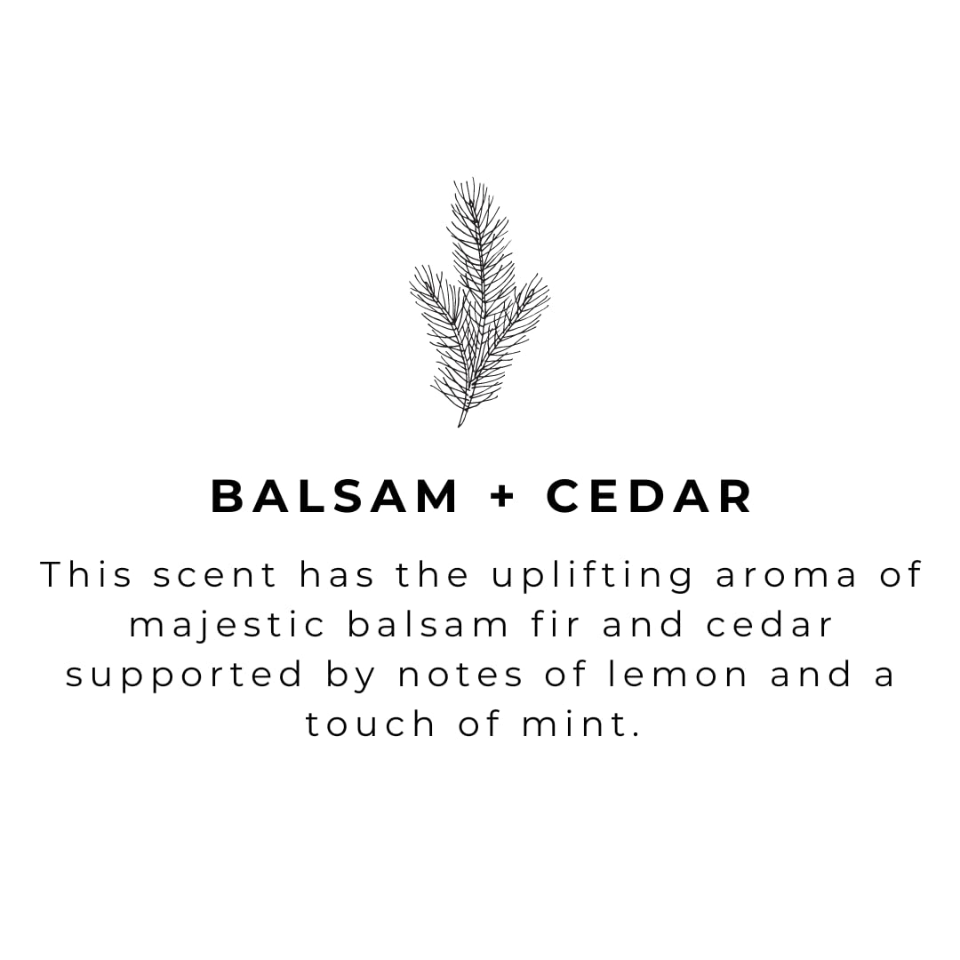 River Birch Balsam & Cedar Scented Natural Hand Soap -Handmade Hand Soap -Moisturizing Hand Wash With Amber Glass Dispenser - Lu