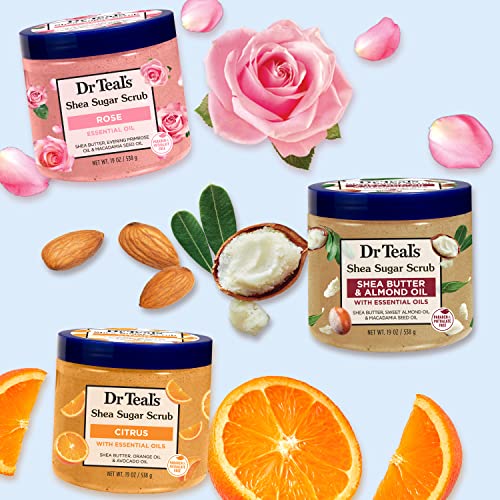 Dr Teal's Shea Sugar Scrub Trial Pack, Rose, Shea Butter, Citrus 19 oz (Pack of 3) (Packaging May Vary)