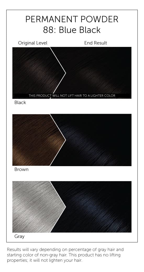 #88 Blue Black Bigen Permanent Powder - 12 Pack