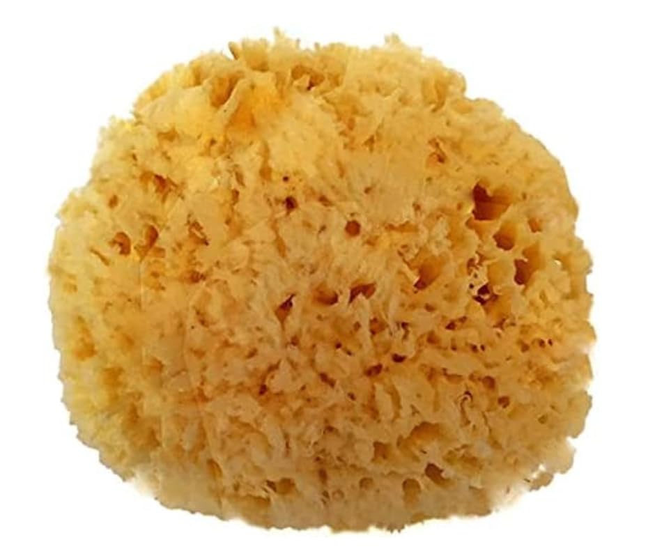 Spa Destinations Natural Sea Wool Sponge 5-6'' Natural Renewable Resource Bath & Shower