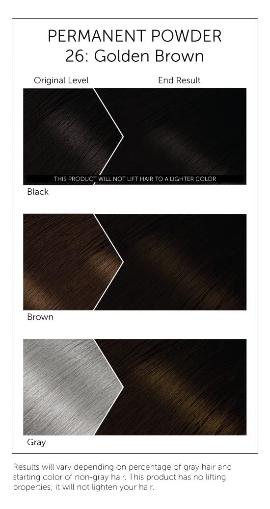 #26 Golden Brown Bigen Permanent Powder (6 Pack)