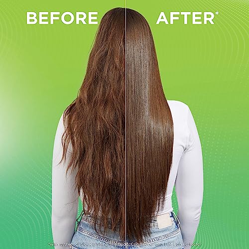 Garnier Fructis Style Flat Iron Perfector Straightening Mist for Heat Protection, Argan Oil, 6.0 Fl Oz, 3 Count (Packaging May V