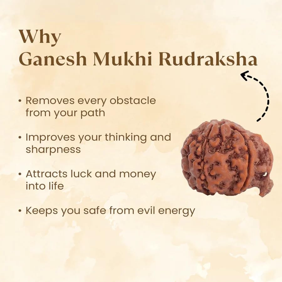Astrotalk Ganesh Mukhi Rudraksha | Remove Obstacles & Unlock Success | 108 Hours Energized by Top Astrologers | Wisdom, Protection & Confidence | Sacred Rudraksha Bead for Women & Men
