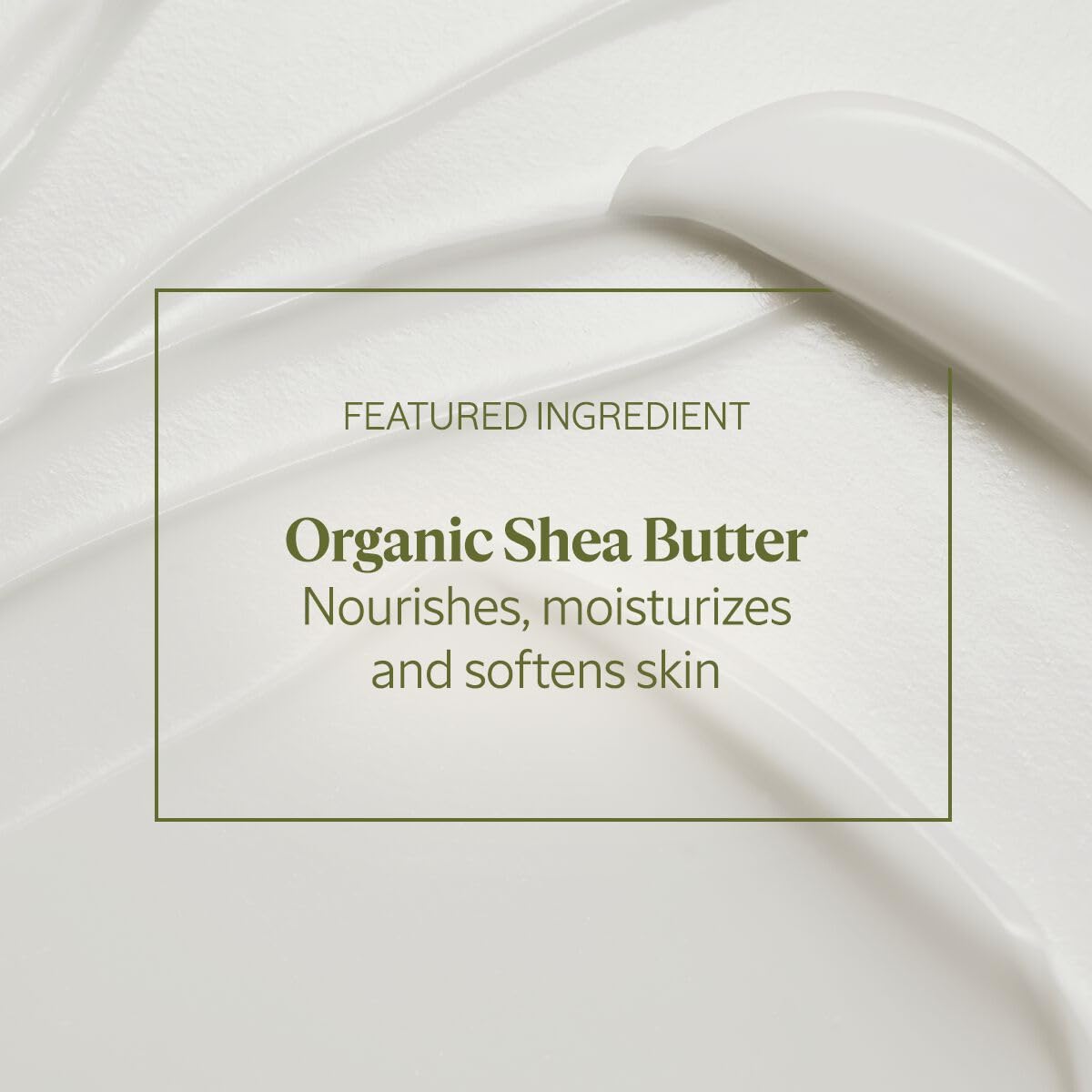 Loccitane/Shea Body Rich Lotion 8.4 Oz