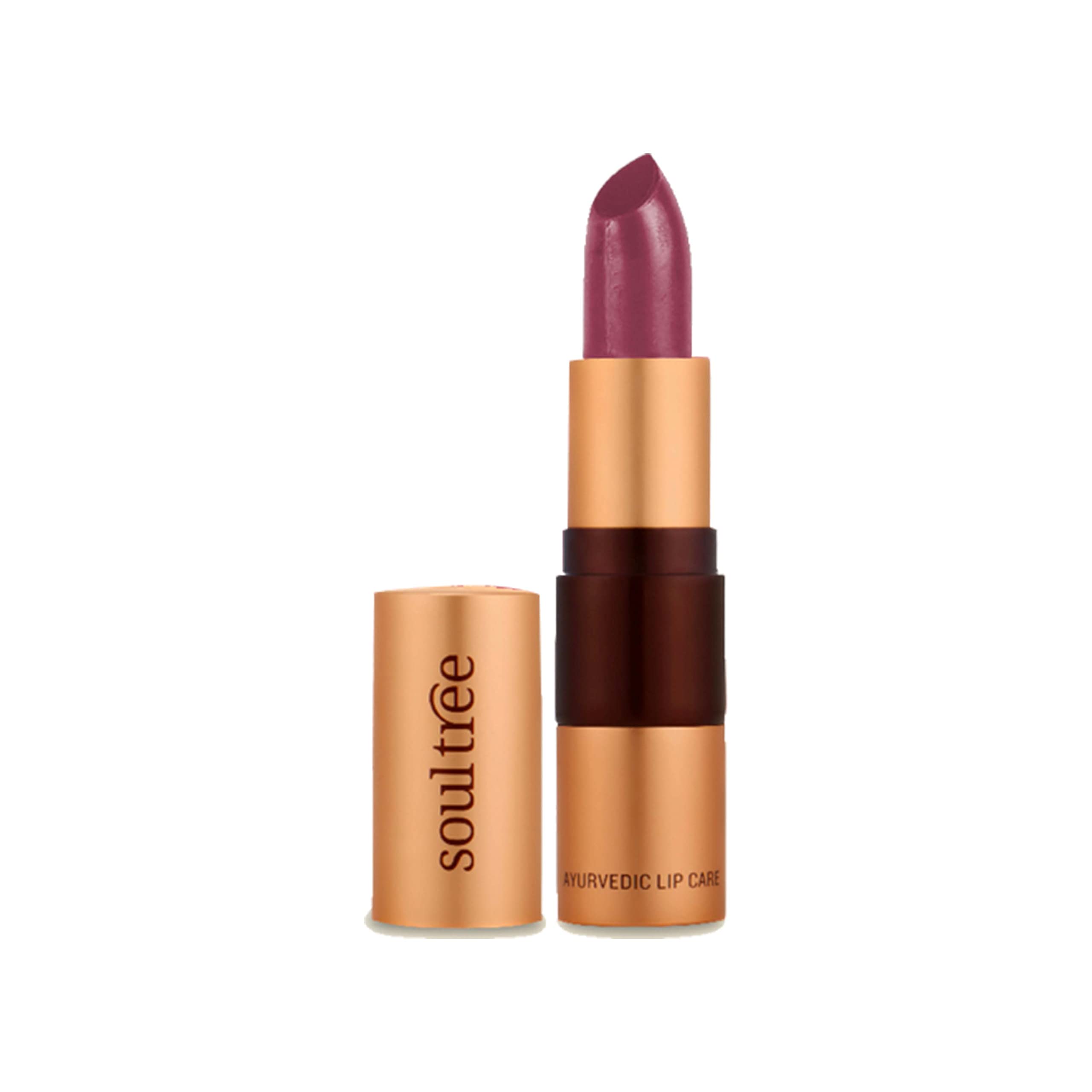 Soultree Ayurvedic Lipstick  Glistening Loam 511, 4Gm | Creamy Texture | Enriched With Organic Ghee & Almond Oil | Moistured & 