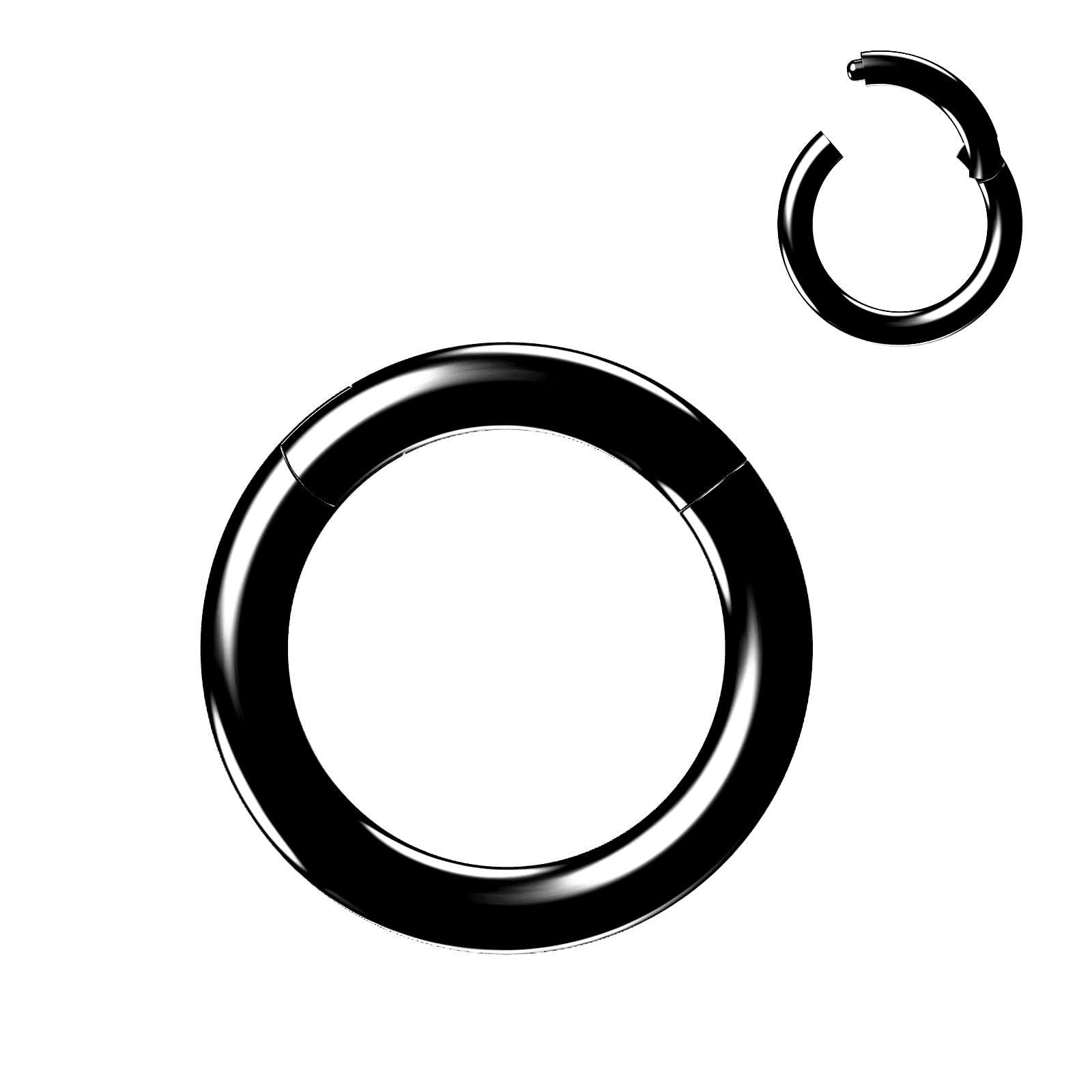 NewkeepsR 12G  10mm Black Large Gauge Prince Albert 316L Surgical Steel Septum Hinged Clicker Segment Orbital Conch Rings