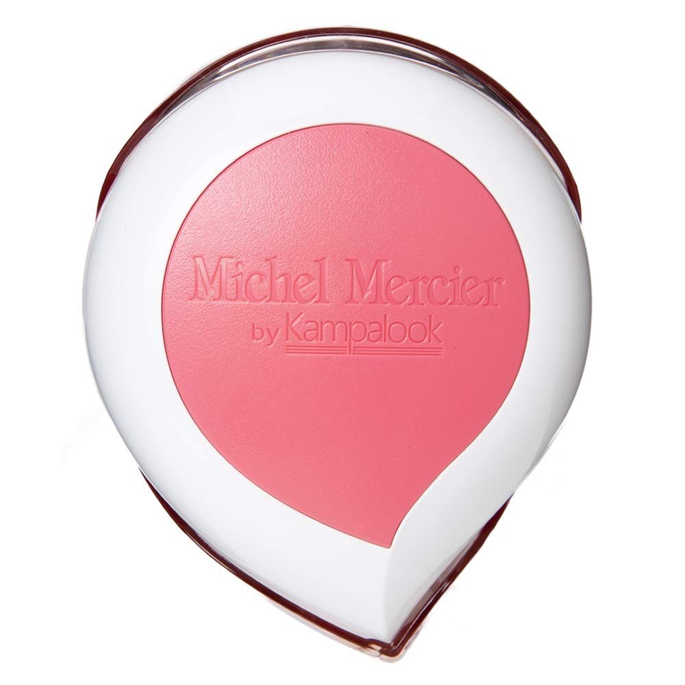 Michel Mercier Travel Hair Brush - Wet Dry Detangling Brush Curly Hair Brush For Women And Men Compact Size For Car, Travel ,Gym