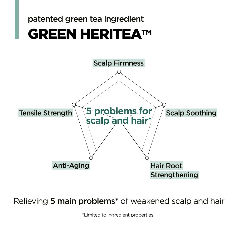 Amos Professional The Green Tea Shampoo Moisturizing For Thinning Hair, Korean Shampoo For Dry Scalp L Flaky & Itchy Scalp, Stre