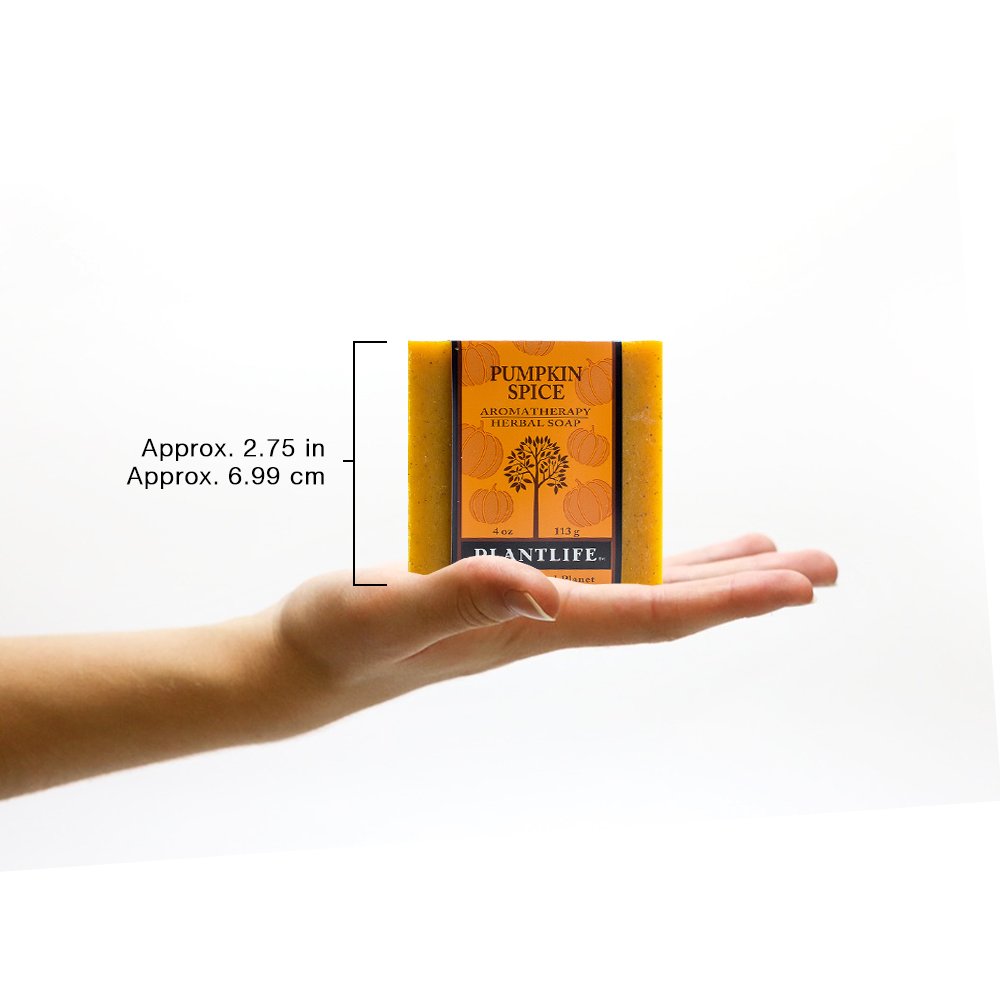 Plantlife Pumpkin Spice Bar Soap - Moisturizing And Soothing Soap For Your Skin - Hand Crafted Using Plant-Based Ingredients - M