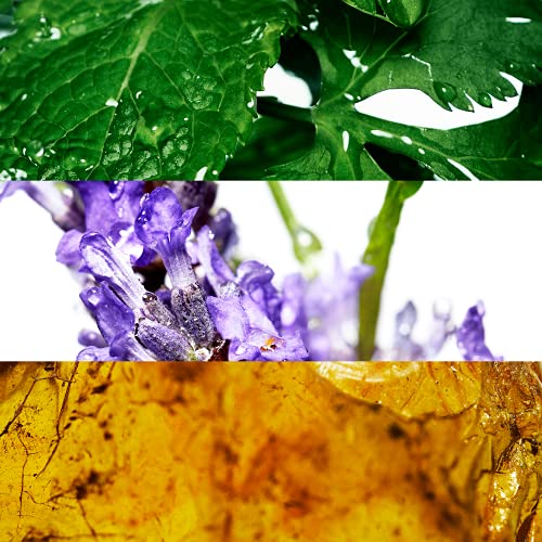 Davidoff Cool Water Man Eau De Toilette 6.7 Fl Oz