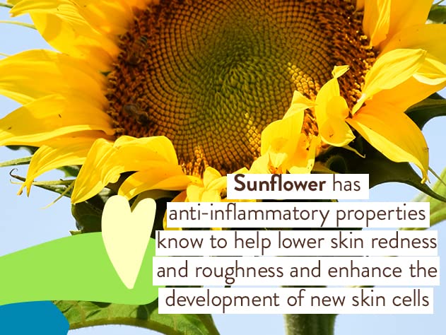 Babo Botanicals Sheer Mineral Sunscreen Lotion SPF 50 - Natural Zinc Oxide - Extra Sensitive Skin - Lightweight - Water Resistan